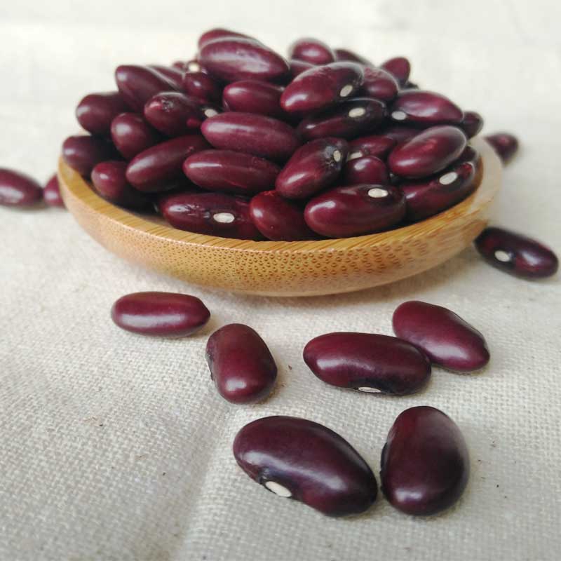 贵州土特产紫豆大红豆红腰豆老品种紫豆农家自产非转基因