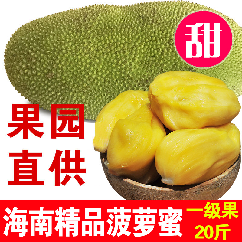 海南三亚菠萝蜜木菠萝波萝蜜新鲜水果包邮20斤胜泰国红肉