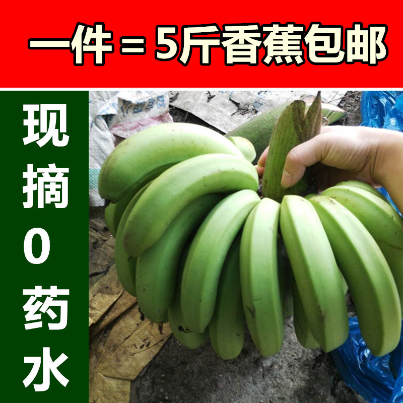 新鲜绿香蕉5斤广东水果胜海南芭蕉现摘无催熟剂超甜香蕉亏本包邮