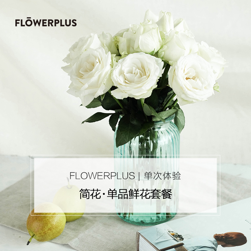 FLOWERPLUS【花+】简花 单品鲜花单次体验 鲜花速递每周一花 送礼