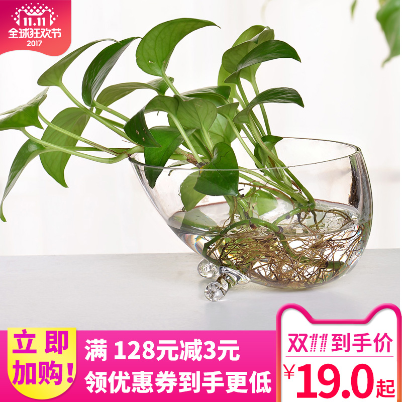 绿萝水培花瓶  玻璃花瓶水培 富贵竹透明玻璃花瓶花器鱼缸器皿