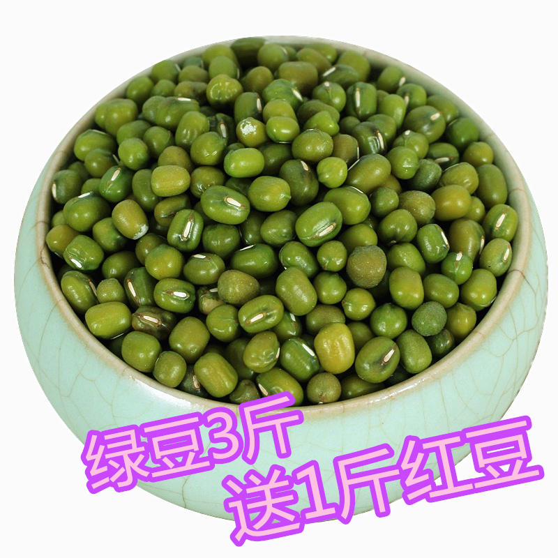 农家绿豆新鲜500g*3袋散装绿豆粥东北自产种子包邮小绿豆汤原料