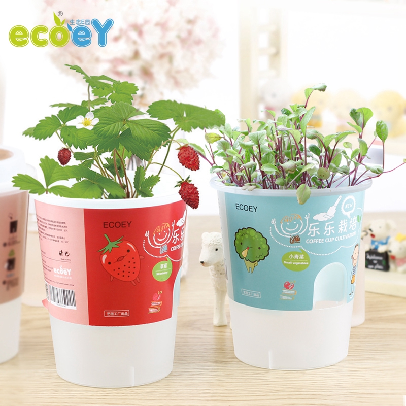 Ecoey迷你草莓西红柿盆栽创意蔬果种植DIY水培植物办公桌植栽特价