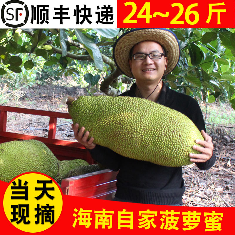 【多省顺丰】海南菠萝蜜25斤 新鲜树上熟木波罗热带水果 礼盒包邮