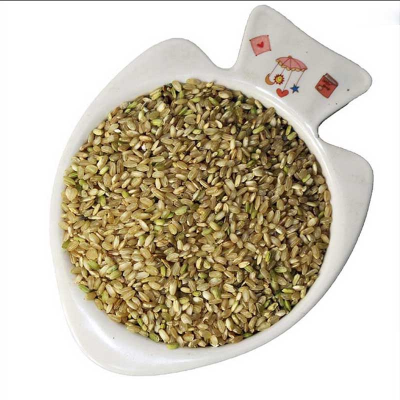 新糙米五台山大米绿色无污染糙米 胚芽营养大米绿色粗粮杂粮500g