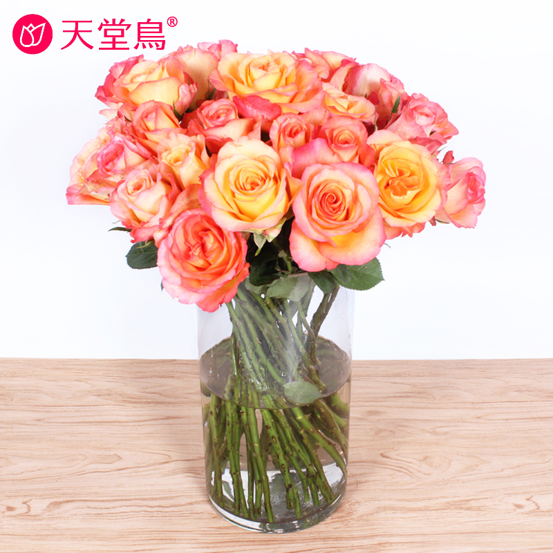 鲜花速递杭州同城包邮 家庭鲜花 简单花束1束体验 红粉黄白紫玫瑰