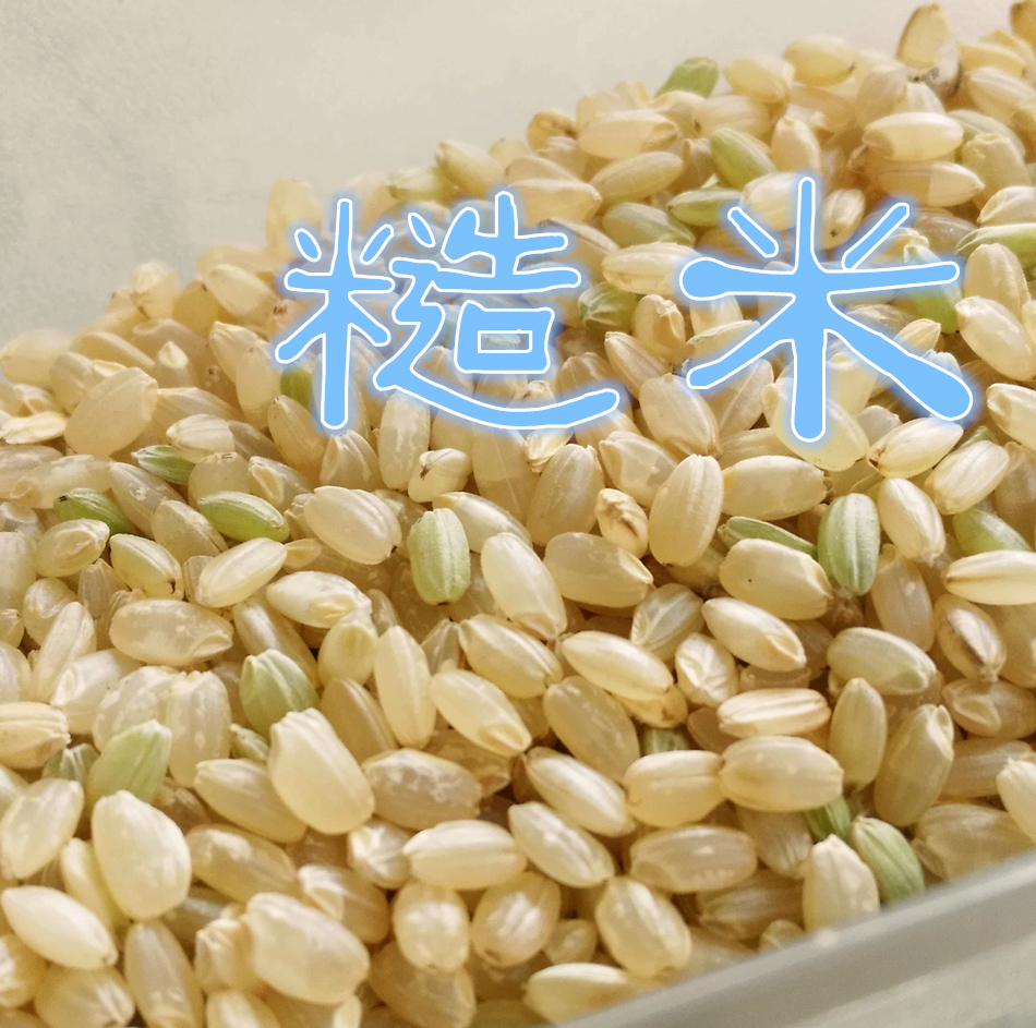 农家自产 全胚芽糙米 粗粮五谷杂粮 煮粥糙米 老年人粮食 500g