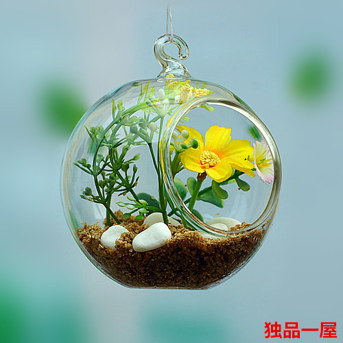 微景观悬挂透明玻璃花瓶现代纯手工欧式玻璃吊球创意水培花器吊瓶