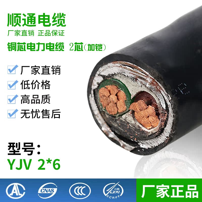 YJV22 铜芯电缆线2芯6平方国标铜电力电缆电线平双二芯可零剪特价
