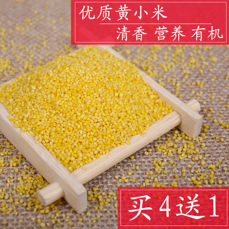 2016黄小米小黄米小米食用粥月子米新米优质 农家500g包邮