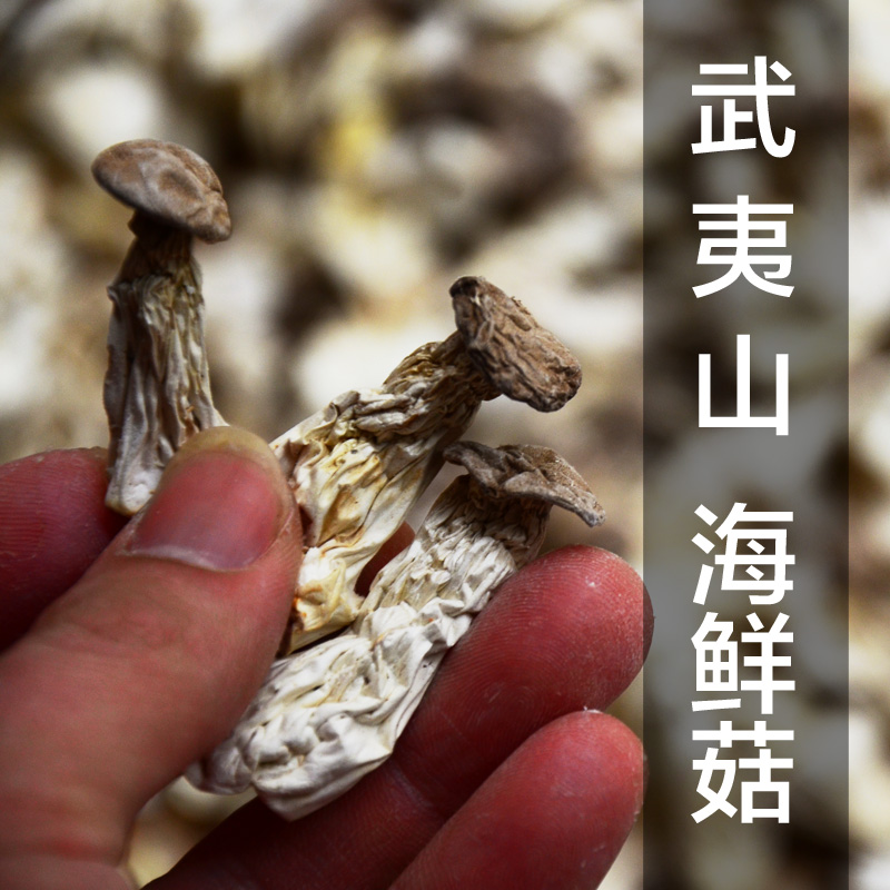 武夷山特产干货 海鲜菇 菇奶奶 长寿菇 白灵菇 茶花菇  鲜爽500g