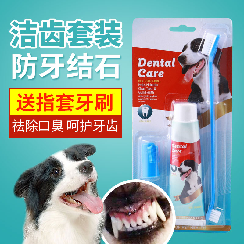 狗狗牙膏宠物牙刷套装 口腔清洁用品去牙结石除口臭泰迪金毛刷牙