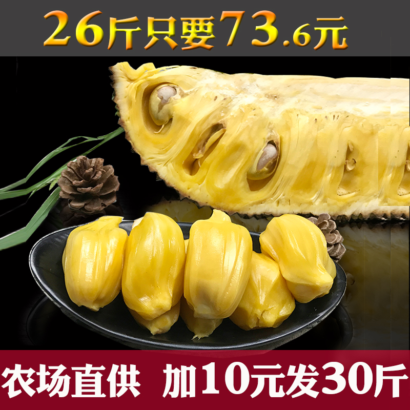 【送6斤发26斤】海南三亚菠萝蜜新鲜 波罗蜜包邮 热带水果