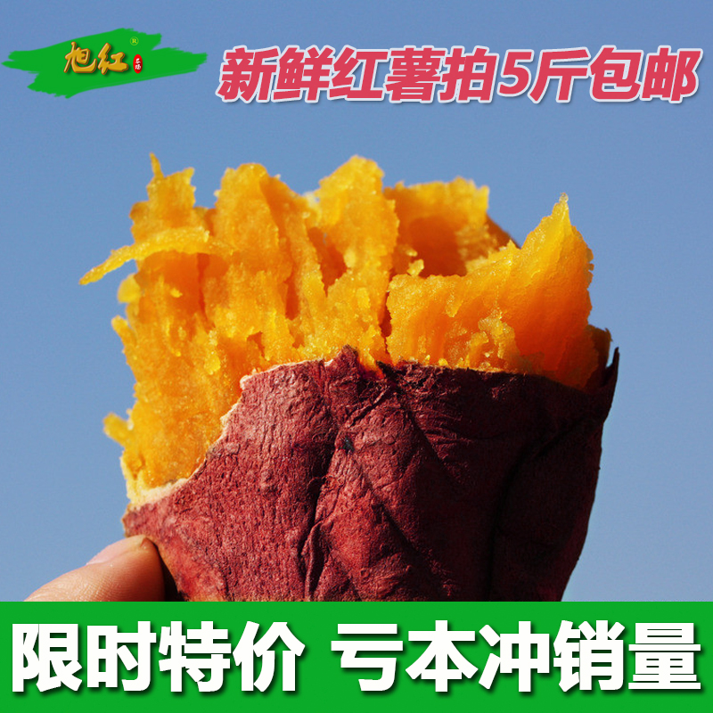2016新鲜红薯红心地瓜农家特产黄心红薯山芋番薯新鲜地瓜5斤包邮