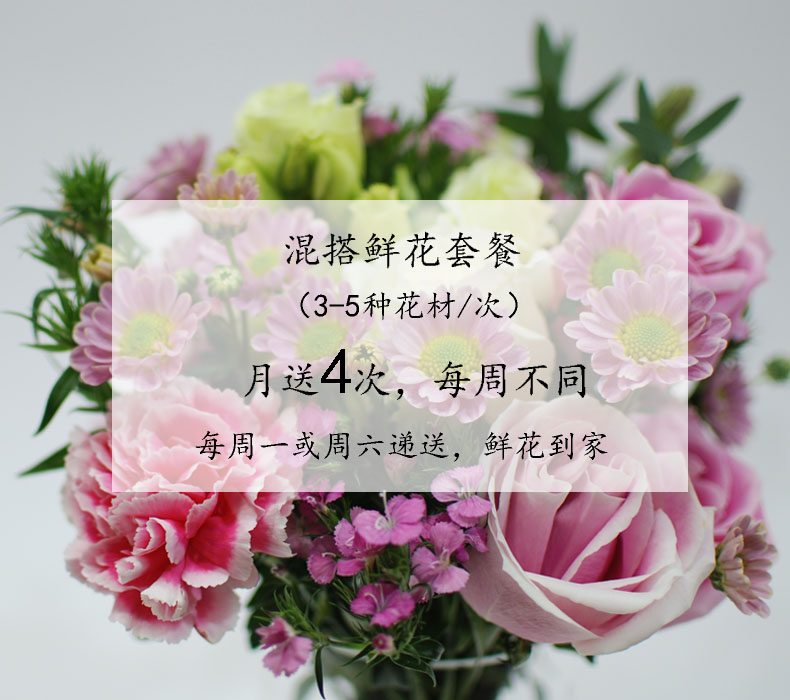 每周一花包月花混搭鲜花包月套餐教师节上海花店同城递送玫瑰花