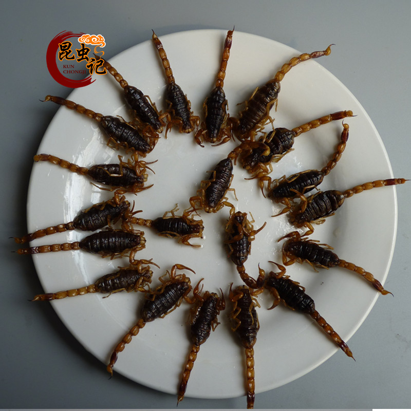 大母蝎沂蒙山野生十足全蝎油炸营养美味即食蝎子昆虫记