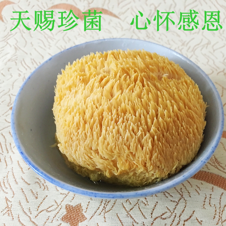 福建古田农家土特产有机特级菌菇猴头菇粉食用菌干货养胃250g包邮
