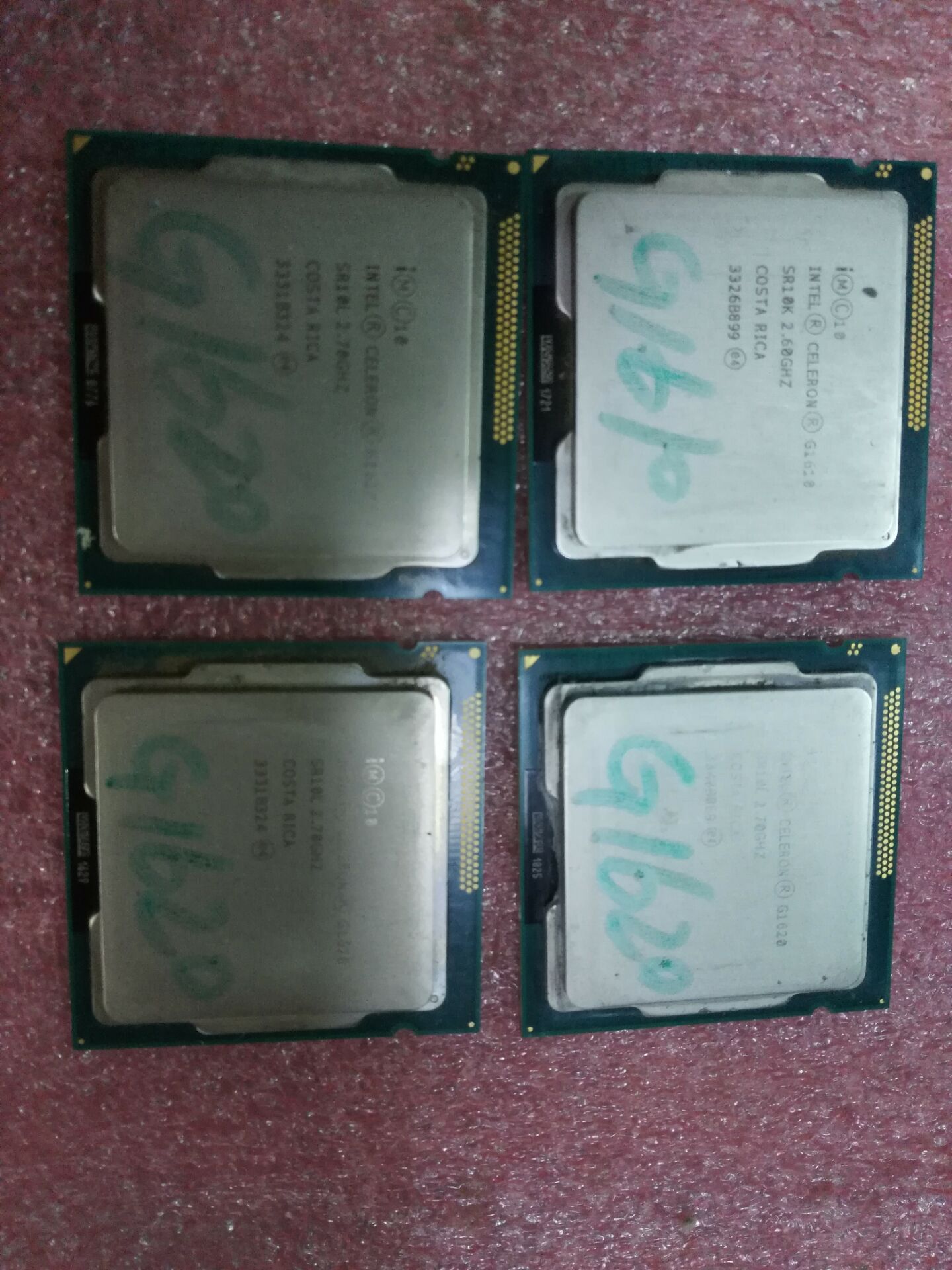 Intel/英特尔 G1610 赛扬G1610 G1620 1155双核CPU