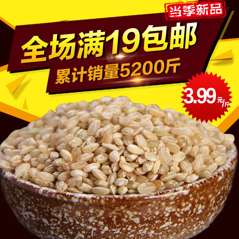 包邮糙米 粳米农家胚芽玄米粗粮五谷杂粮糙米500克