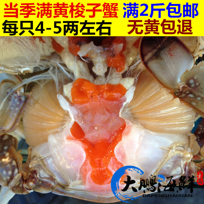梭子蟹鲜活海蟹野生大螃蟹满黄母蟹红膏蟹青岛新鲜海鲜水产品500g