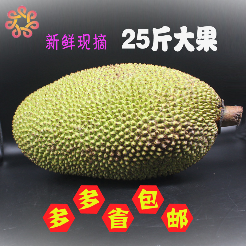 25斤海南三亚特产新鲜菠萝蜜热带水果大树木波罗蜜新鲜包邮