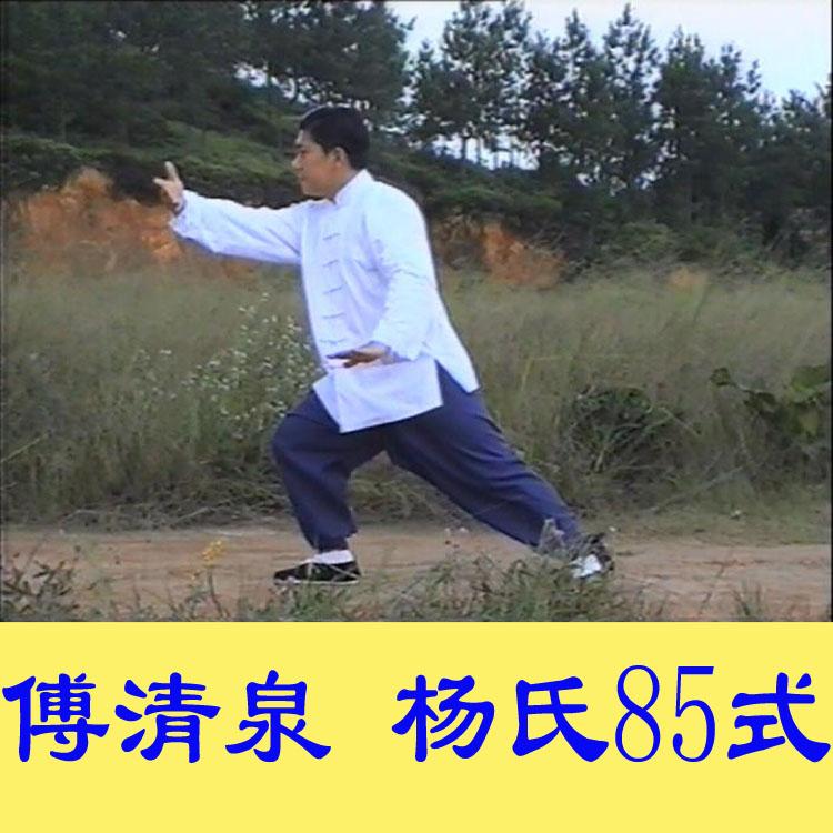 付傅清泉嫡传杨式太极拳教练法-传统杨氏太极拳85式教学-4DVD