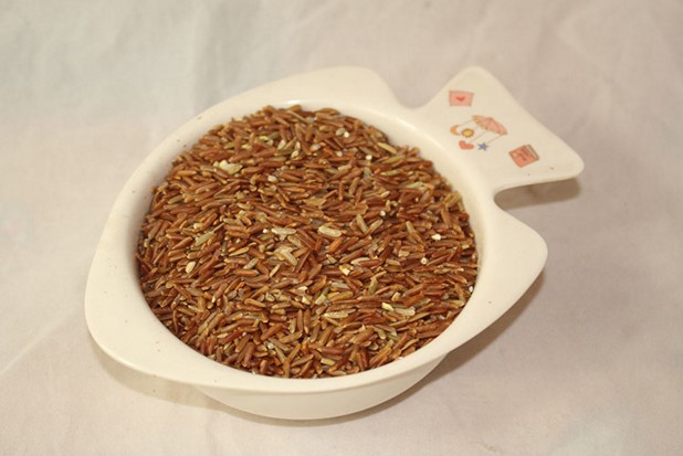 16年农家自产新米红米 红粳米红血稻糙米 五谷杂粮吃的红米500克