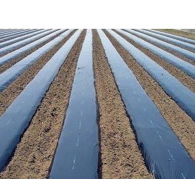 全新料加厚农用塑料黑薄膜 黑色地膜1米1.5米2米宽除草专用黑地膜