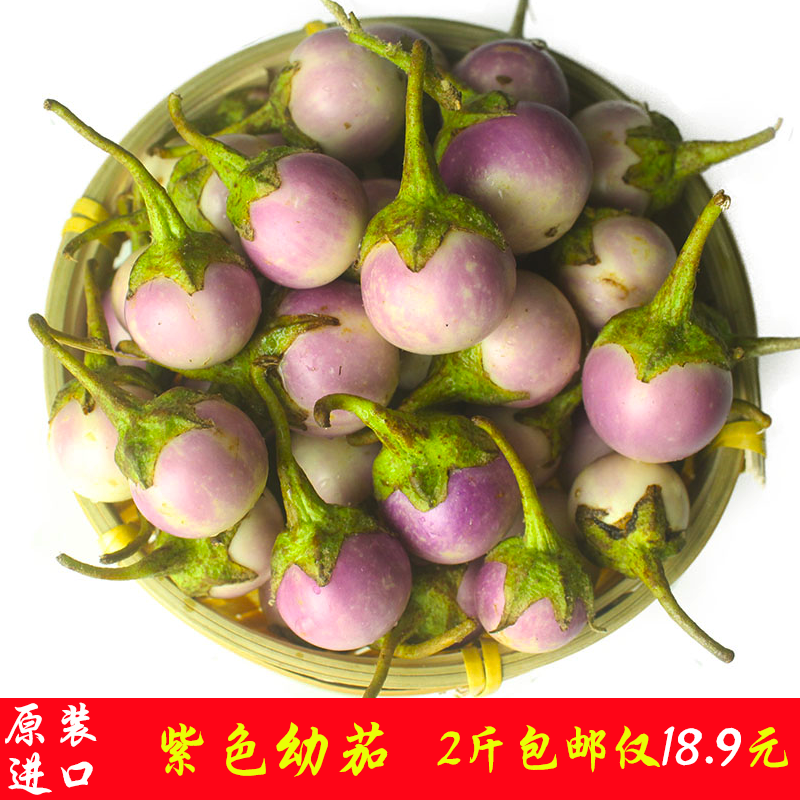 越南新鲜小茄子新鲜蔬菜圆茄子小茄子非转基因蔬菜特产蔬菜