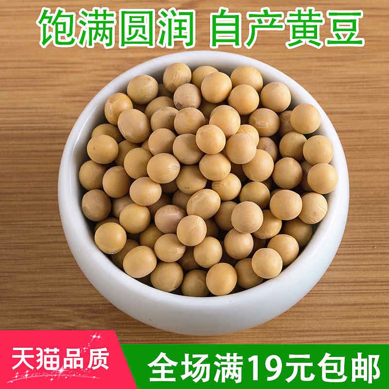 黄豆 不是转基因 沂蒙山农户自种 小黄豆250g 可发豆芽豆浆 包邮