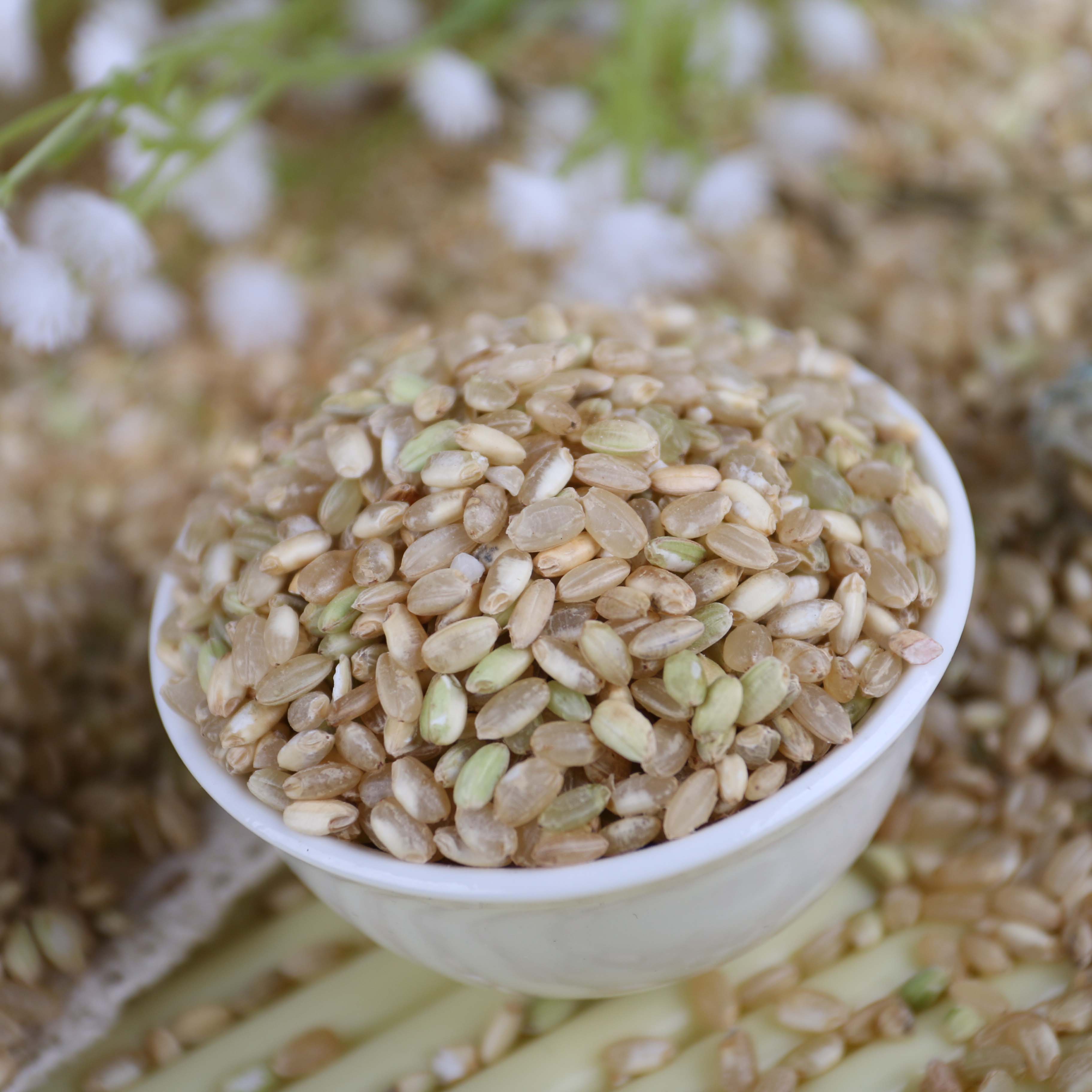 糙米 优质新货 新产东北农家自产 优质500g包邮 可炒糙米茶熟