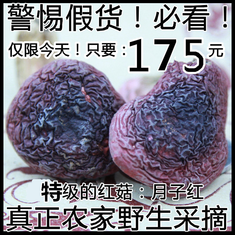 2016红菇新鲜福建野生红蘑菇干货正宗武夷山农家特级红姑椎菌野生