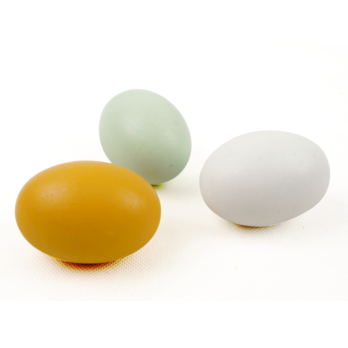 大美天承 木质仿真鸡蛋玩具 逼真的木制鸡蛋鸭蛋 可作情景道具