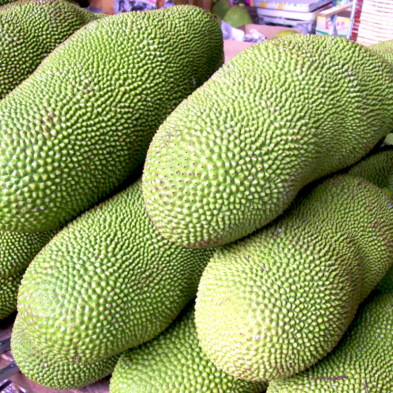 海南三亚 新鲜水果 菠萝蜜 树菠萝 香甜 20斤左右