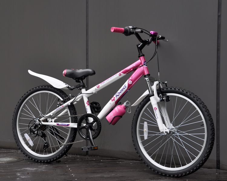 出口新品 130以上女孩学生骑22寸变速自行车山地车 升级GIANT水架