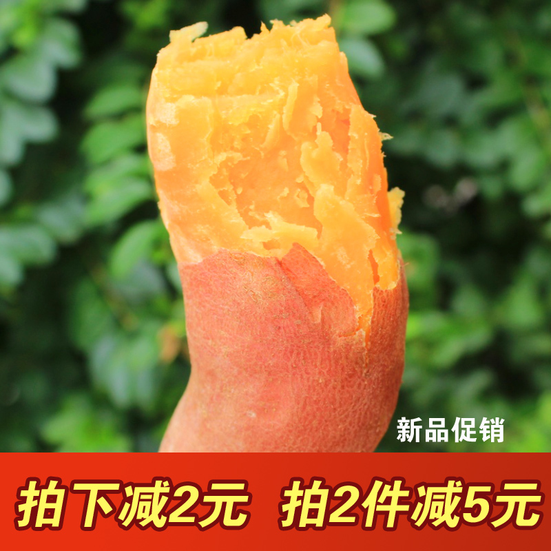新鲜红薯5斤农家地瓜生番薯小香甘薯黄心烤红蜜薯山芋现挖糯甜