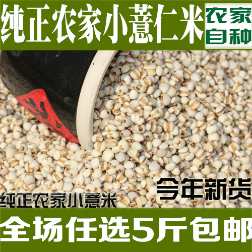 小薏米仁 新货 农家自产 薏米 薏仁米 苡米仁250g 做粥杂粗粮包邮