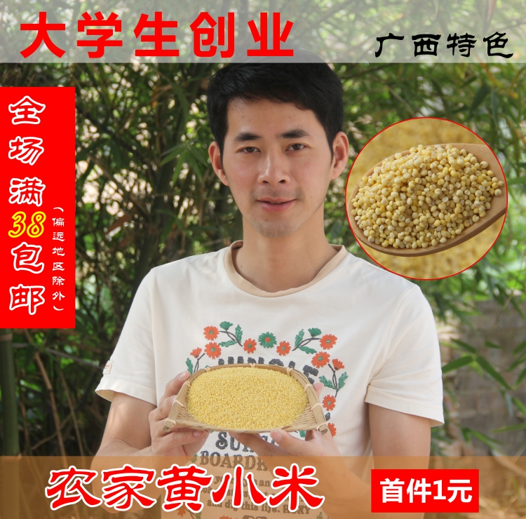 农家小米 新米 小黄米 250g吃的 小米粥 黄小米 粮食 月子米 杂粮