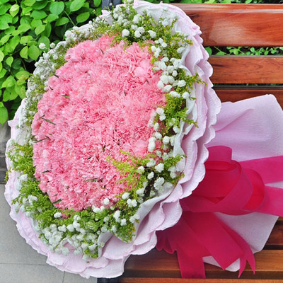 33朵红粉色康乃馨南阳鲜花速递母亲节送长辈老师朋友病人同城配送