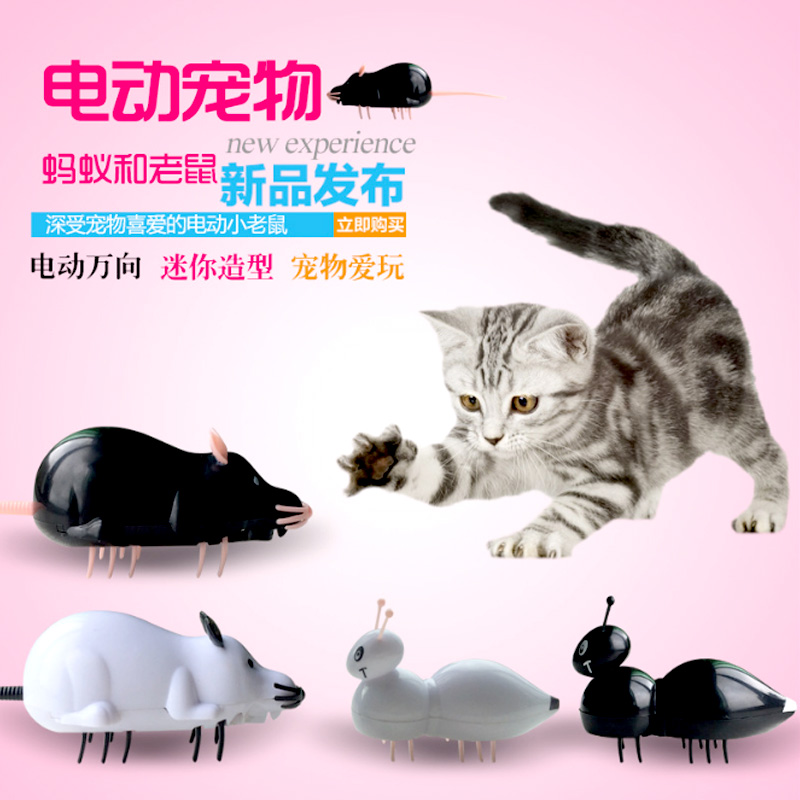 猫玩具电动小老鼠猫咪用品逗猫神器假老鼠会走小蚂蚁宠物小猫幼猫