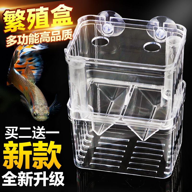 孔雀鱼繁殖盒鱼苗孵化器缸外小鱼隔离网产房斗鱼缸亚克力母特大号