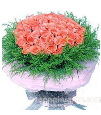 48朵粉玫瑰惠东博罗淡水大亚湾镇隆沥淋小金江北陈江惠州鲜花店