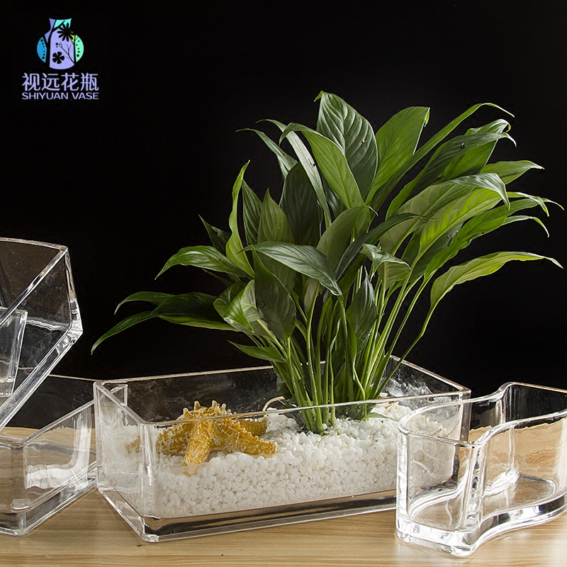家居日用透明玻璃容器方形矮缸长方S形水培花盆果盆盛器小号鱼缸