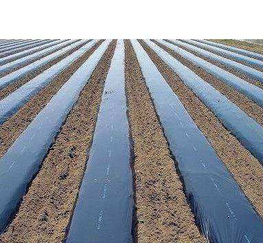 全新料加厚农用塑料黑薄膜 黑色地膜1米1.5米2米宽除草专用黑地膜