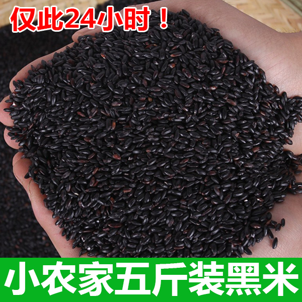 黑米 五常稻花香黑香米 农家自产黑米250g*10袋  包邮！！