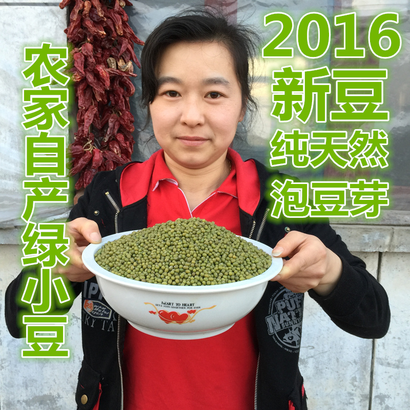 16年新豆东北黑龙江农家自产绿豆绿小豆五谷杂粮泡豆芽绿豆汤500g