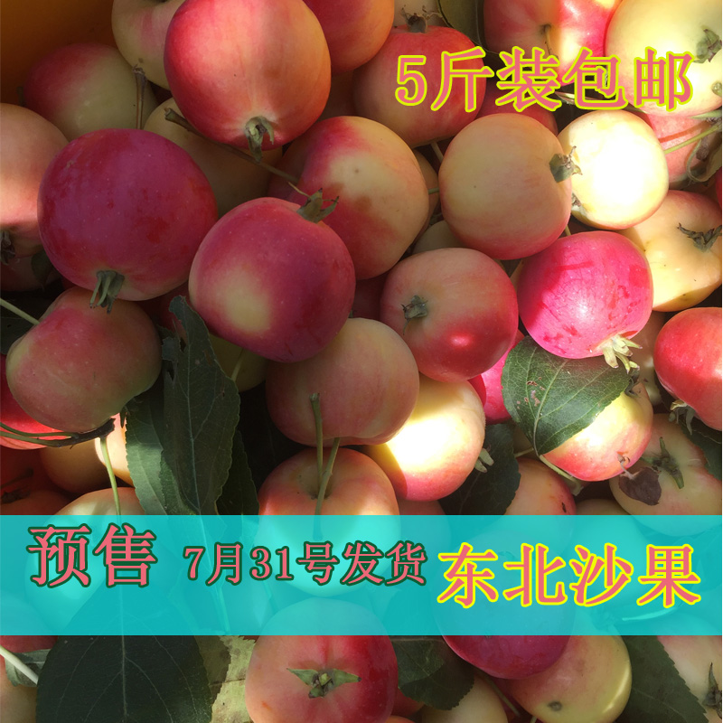 预售沙果东北特产新鲜绿色水果沙果海棠果大秋果孕妇水果5斤包邮