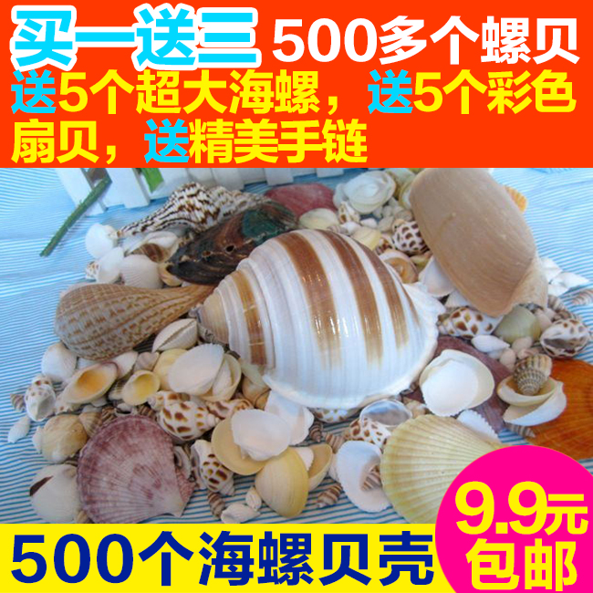 天然海螺贝壳鱼缸装饰品卷贝鱼寄居蟹套装海星地台摆件送手链