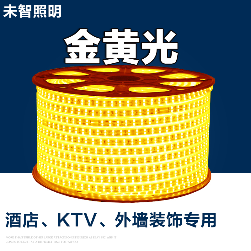 双排220V超亮酒店KTV宾馆吊顶灯池灯条金黄光灯带户外防雨水黄光
