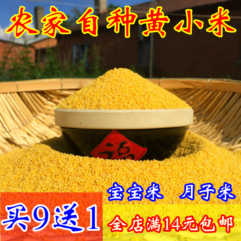 东北农家自产新米 黄小米小黄米 月子米 宝宝米 非转基因小米250g